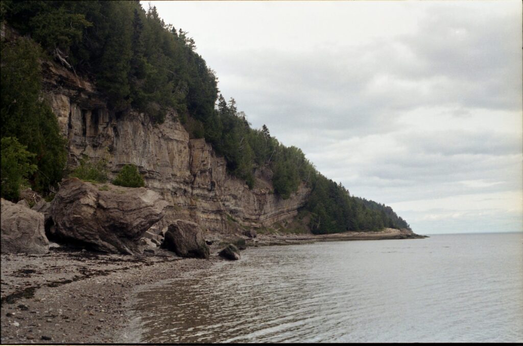 Cliff banks topped with trees behind beach with large layered rocks