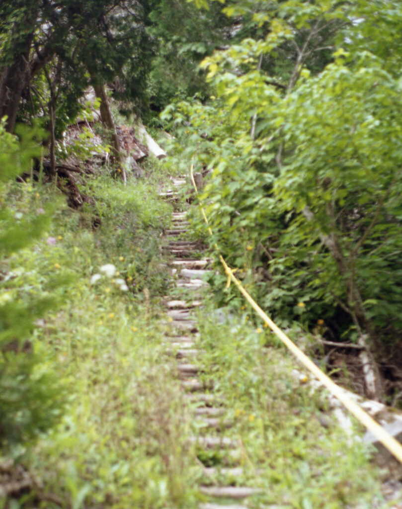 Steps through forest with rope handle bar