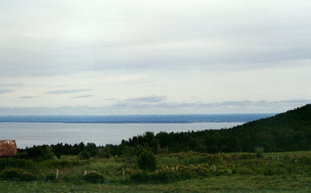 A lush green field with wild flowers overlooking the Saint Lawrence river, the other bank visible in the distance