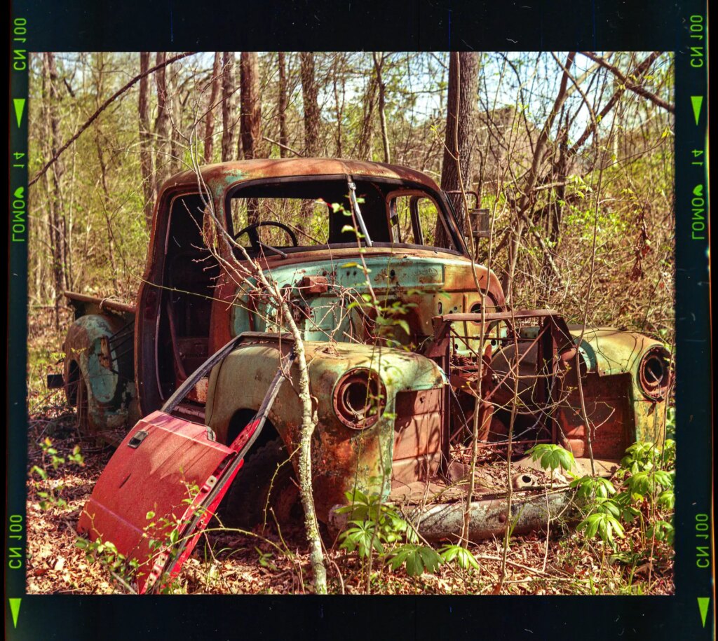 An old truck rusted in the woods with no doors or engine. A red car door leans on the passenger side wheel covering.