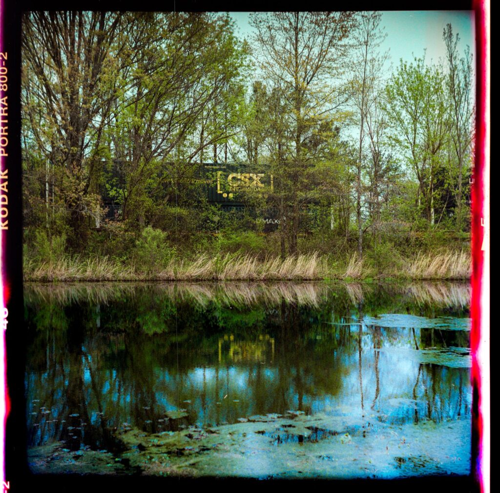 A water surface reflecting a rail car obscured by trees