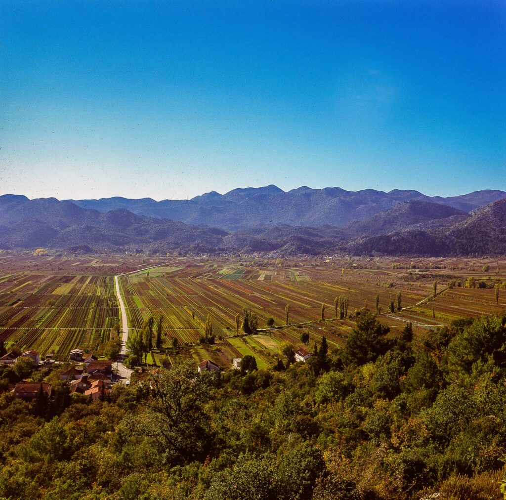 Kiev 60 - Fuji Velvia 100 fields near Neretva river