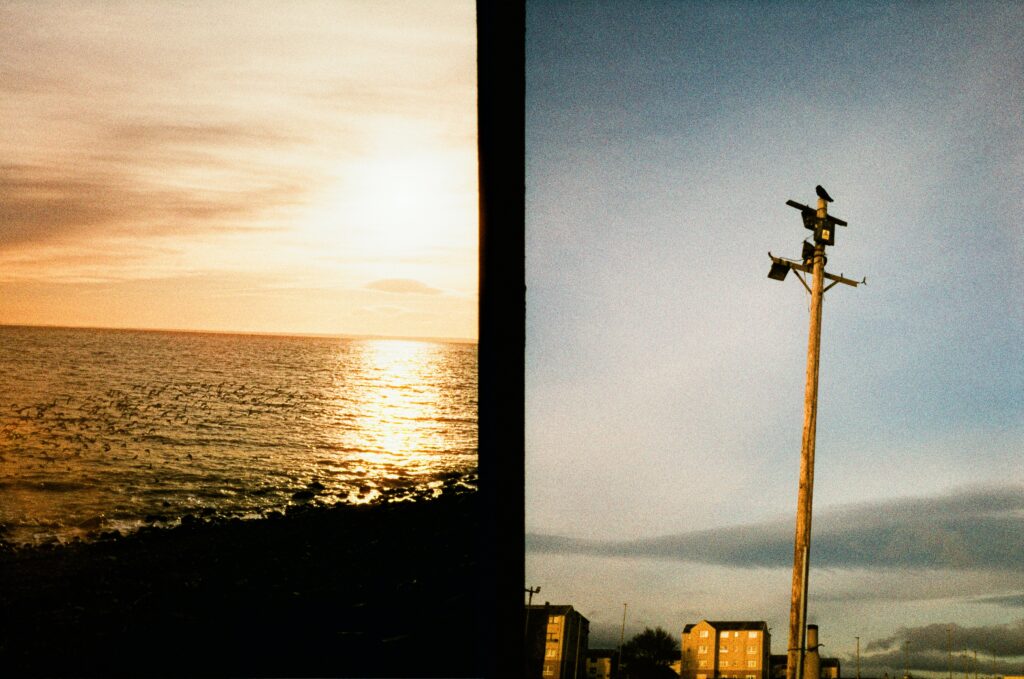 Silhouetted birds in Arbroath