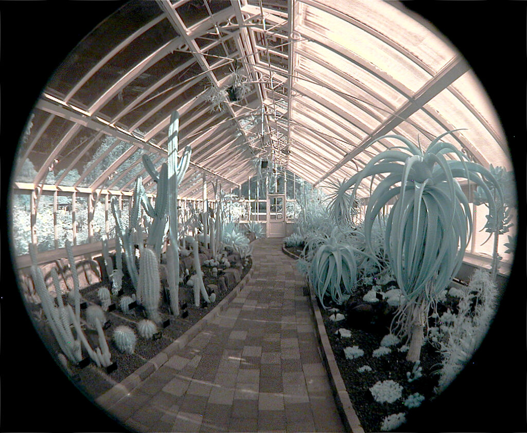 Cacti wing with fisheye Tropical House Botanic Gardens Dunedin