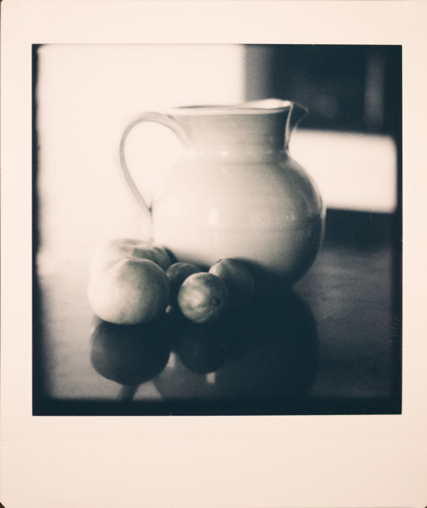 Still life, Instax Square B&W