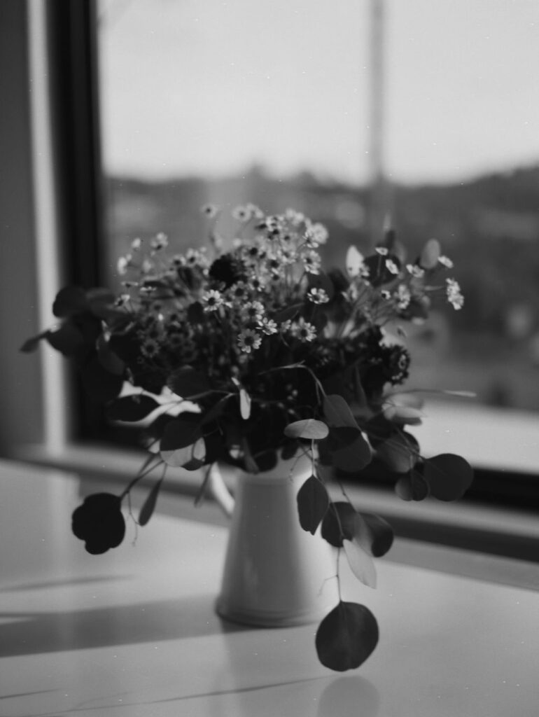 Chamomile flowers in a vase by a sunny window. 