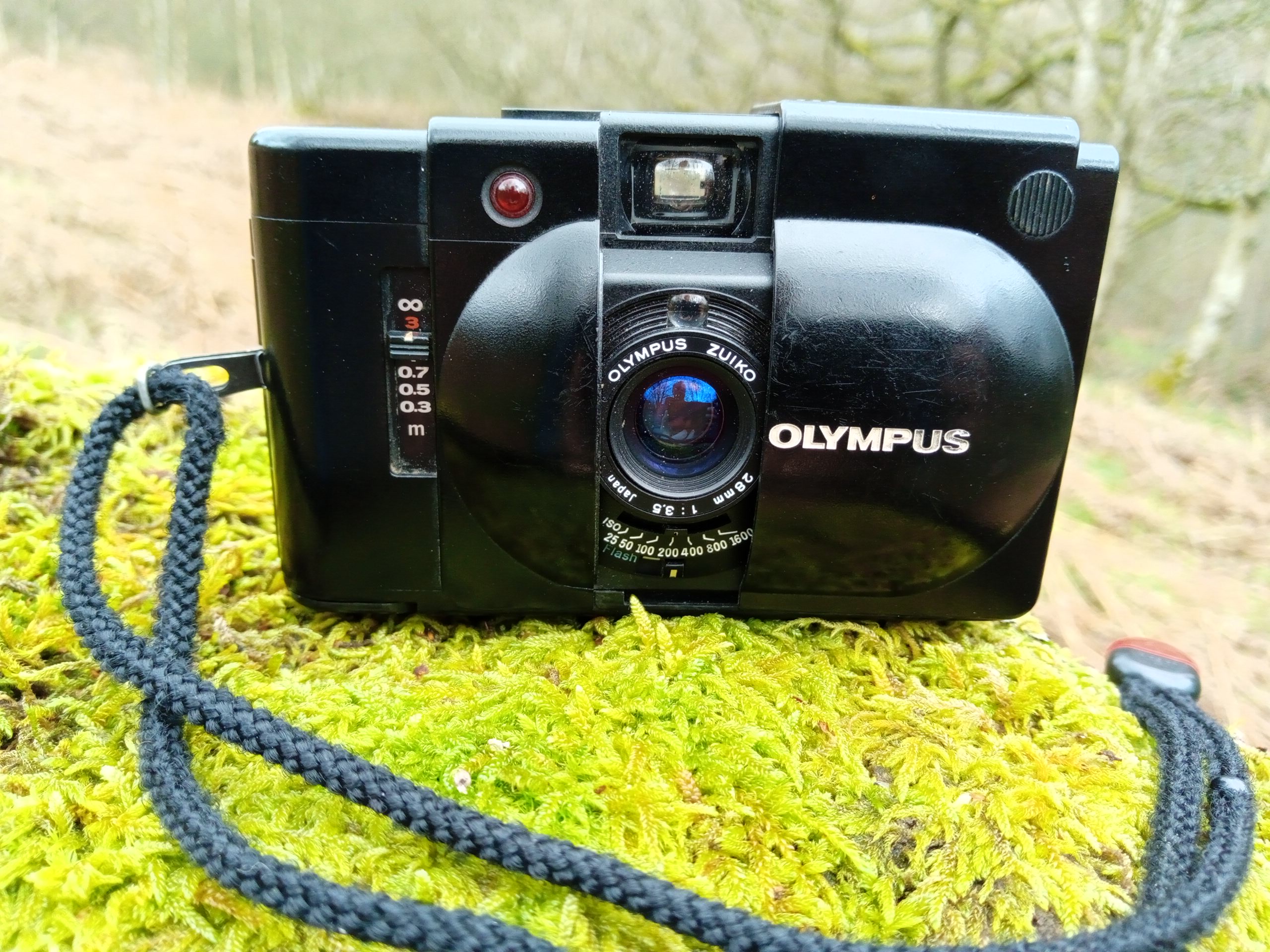 XA4 sitting pretty on a bed of moss