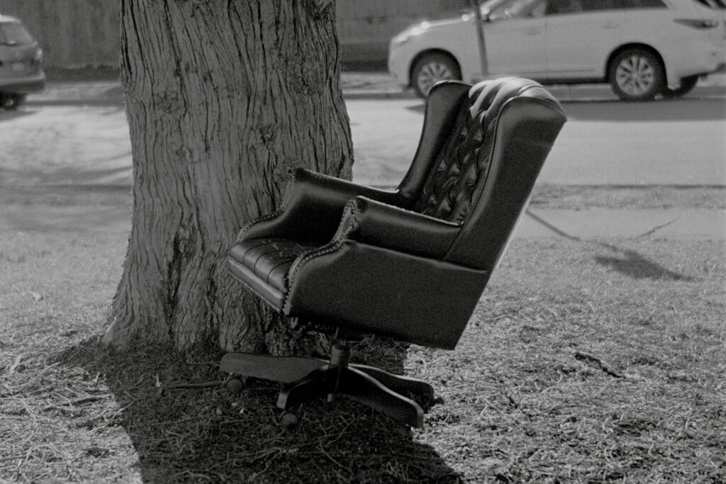 Abandoned desk chair sitting under a tree beside a street.