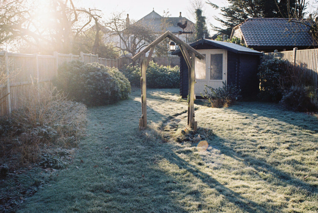 Frosty morning shot towards light, with flare