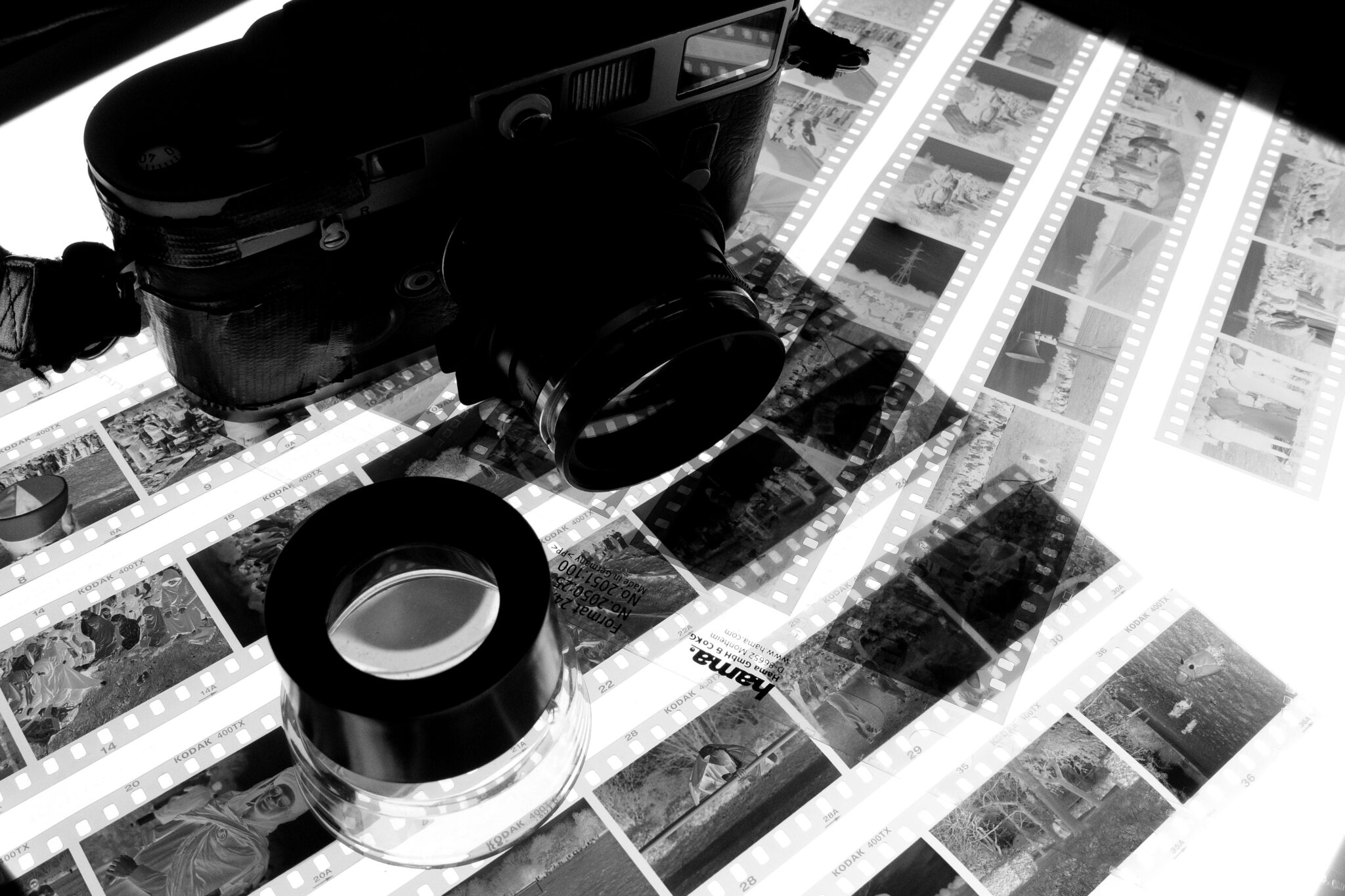 The Whole Roll (x2) Fomapan 400 & Kodak TriX, April 2024 35mmc