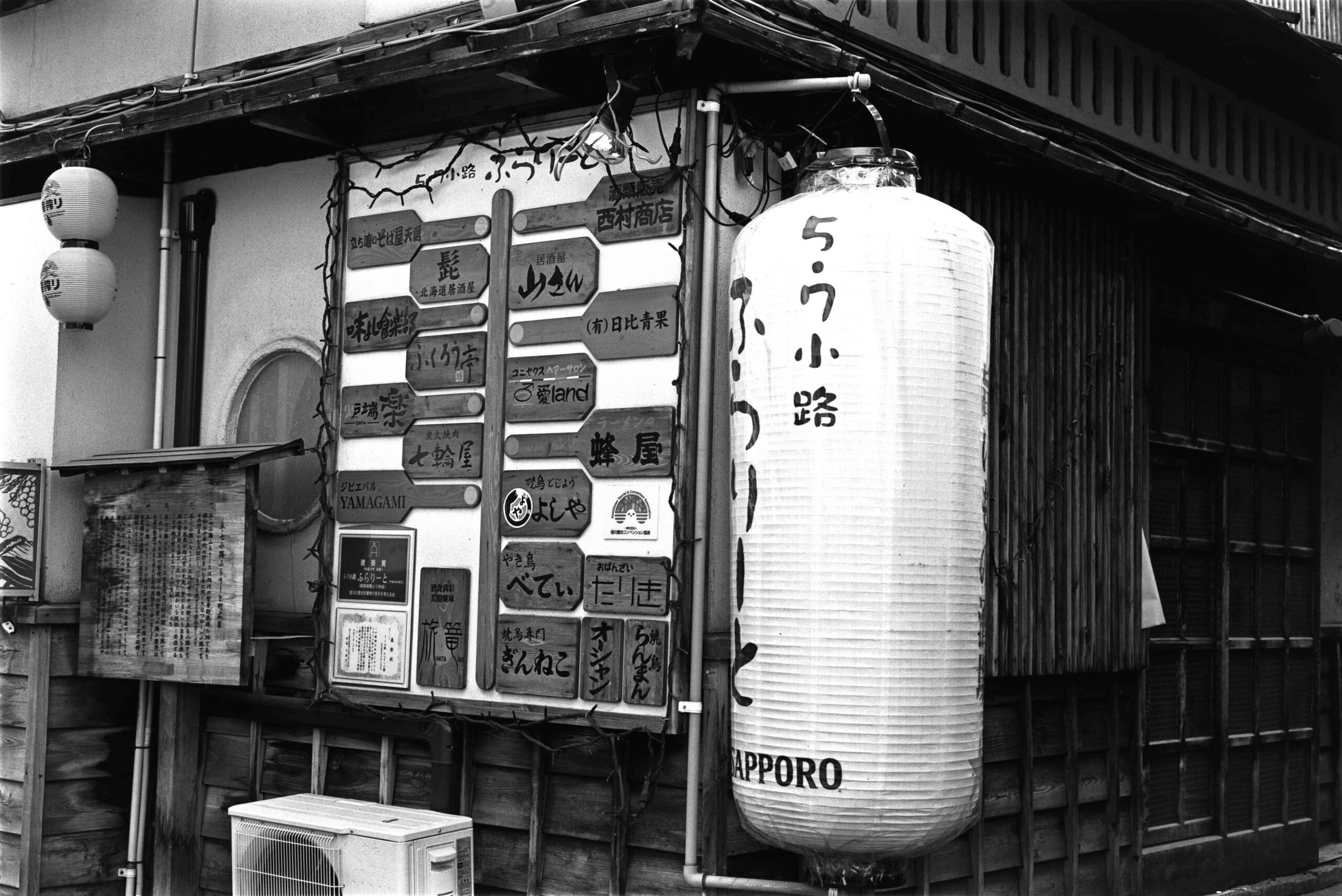 Rollei RPX 25 at 100asa in Rodinal 100:1