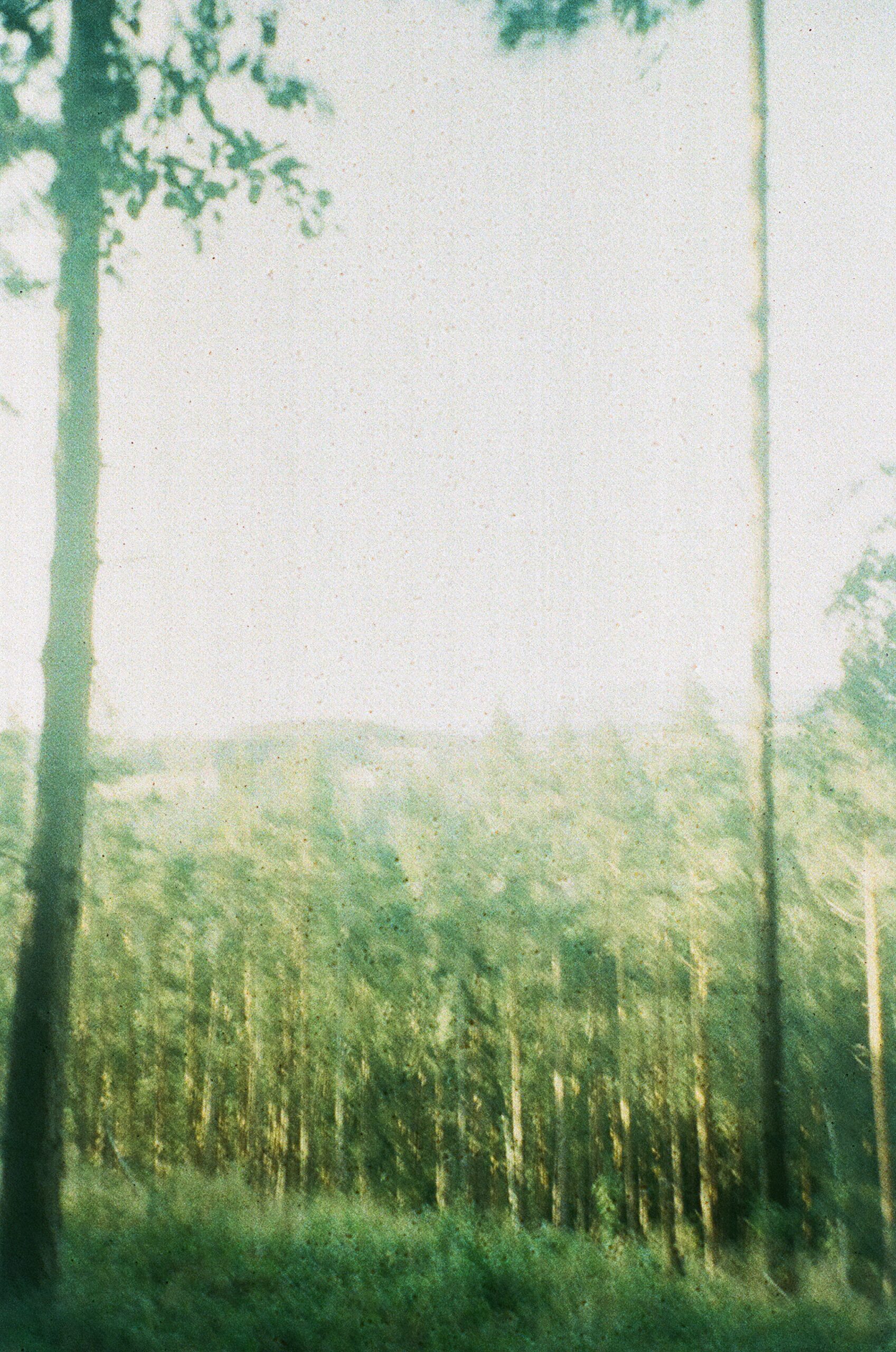 Grainy Images, Clear Passion:  Exploring May December Love - e8xrbxu