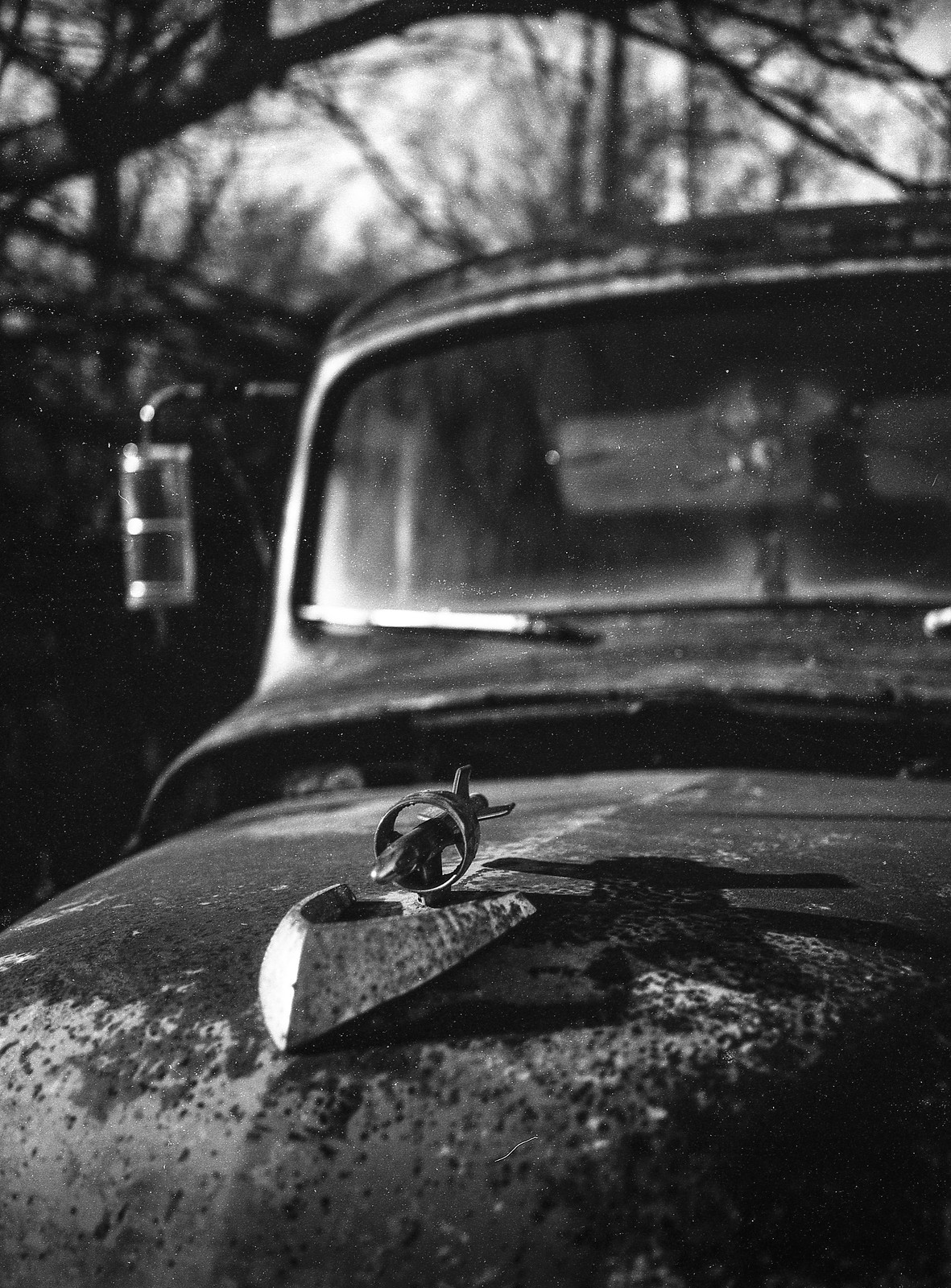 10 Frames with CatLABS X Film 80 II - 35mmc