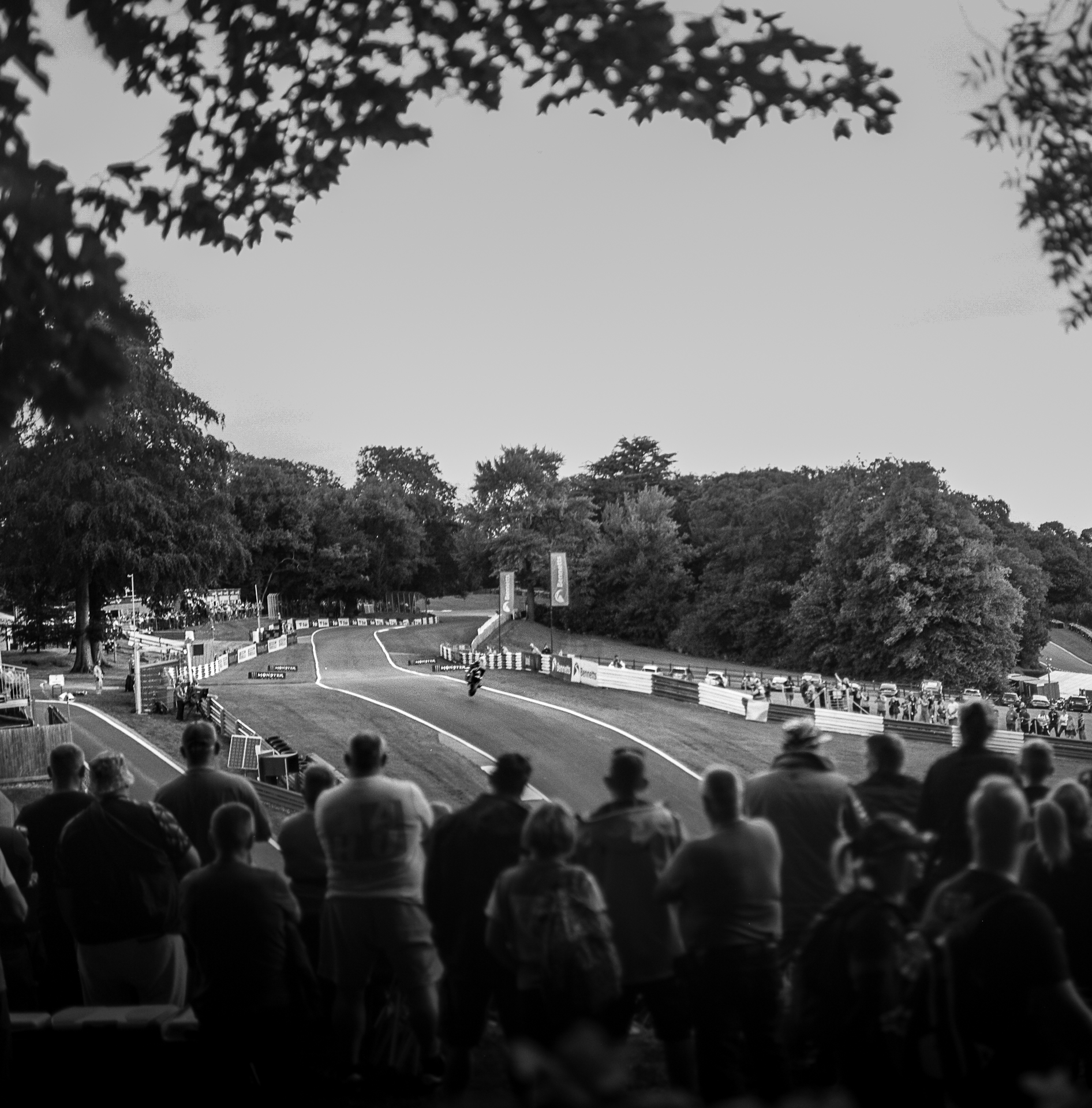 Rider going over the Mountain at Cadwell Park