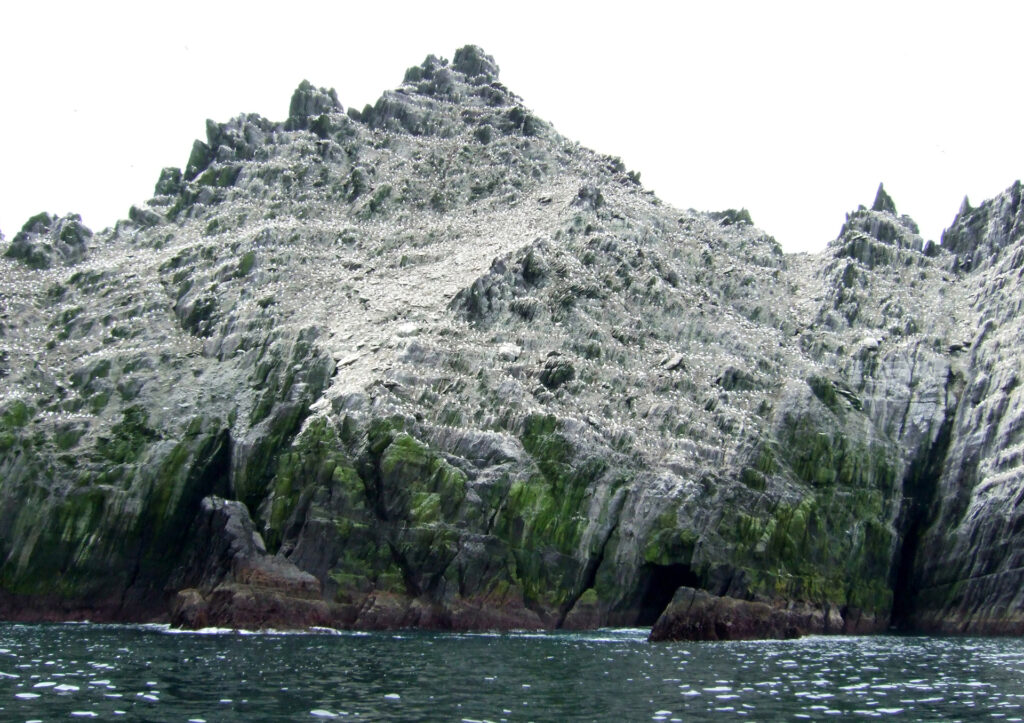 Little Skellig Bird Colony