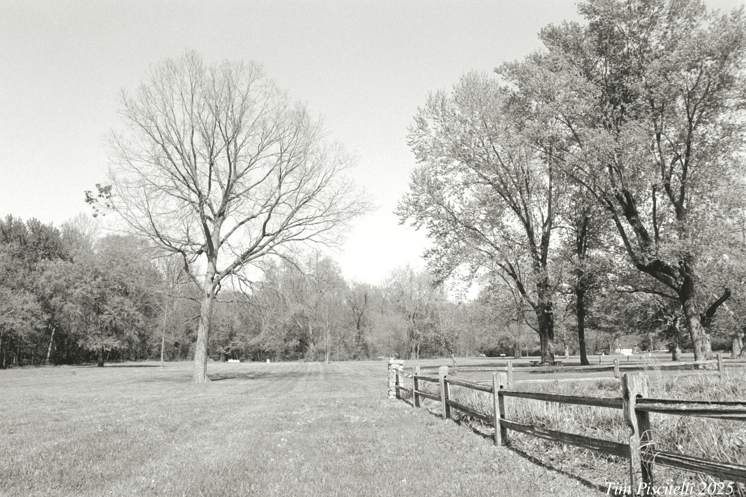 Meadow in Waverly
