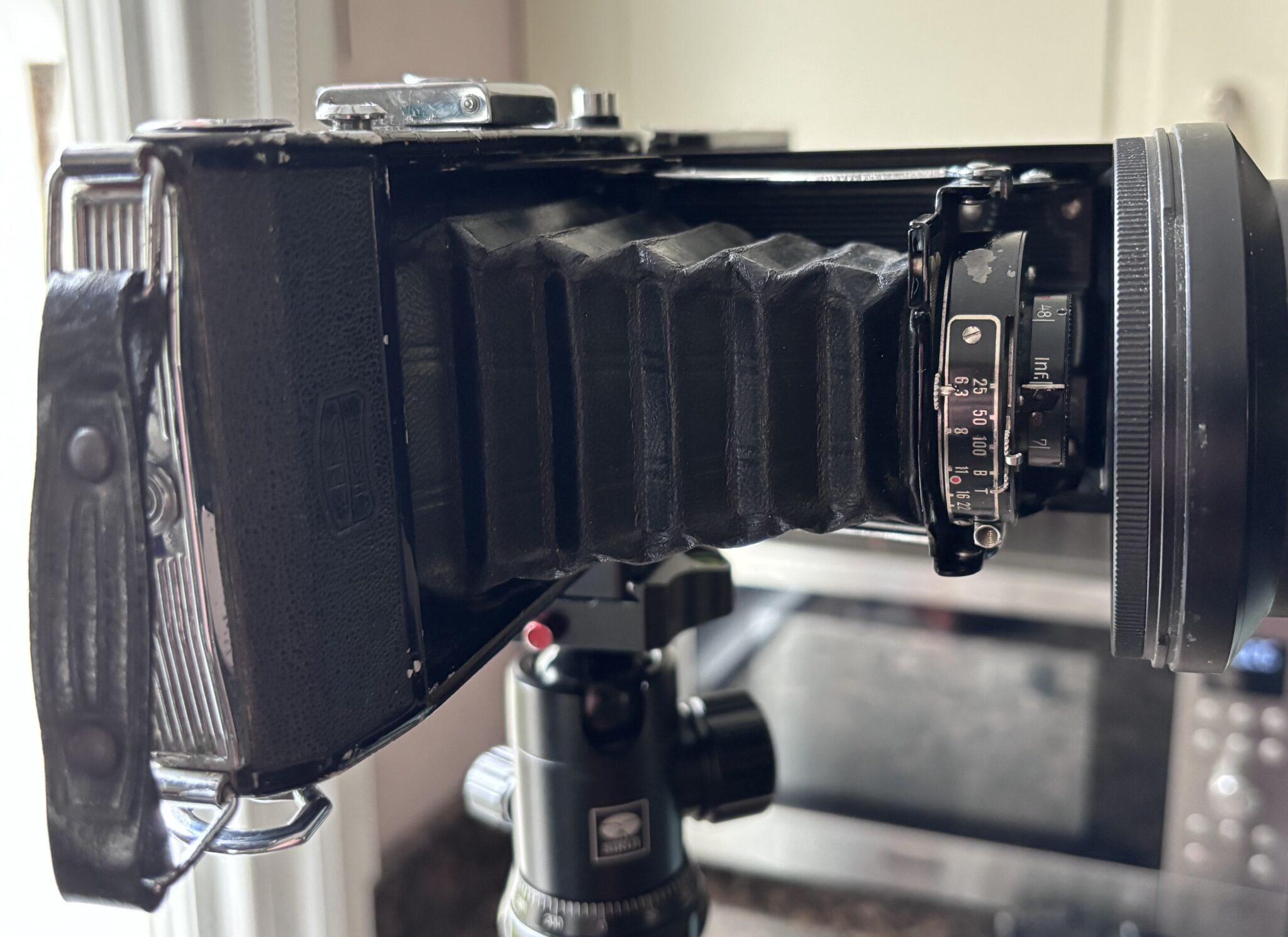 Konica Pearl III Medium Format Folder - Review and Street
