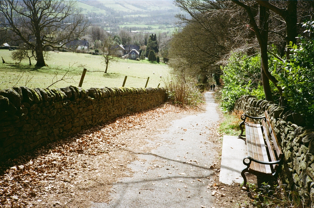 Bamford steep road seat
