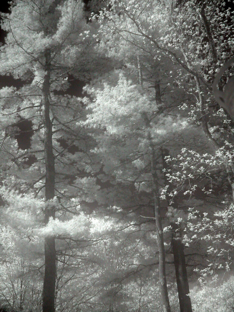 IR photo 01