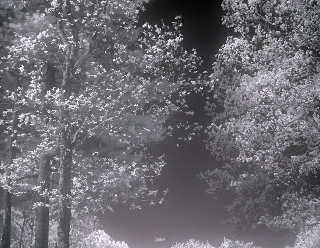 IR photo 02