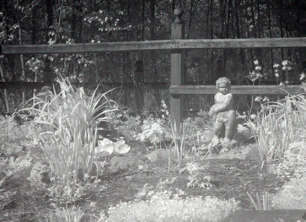 IR photo 04