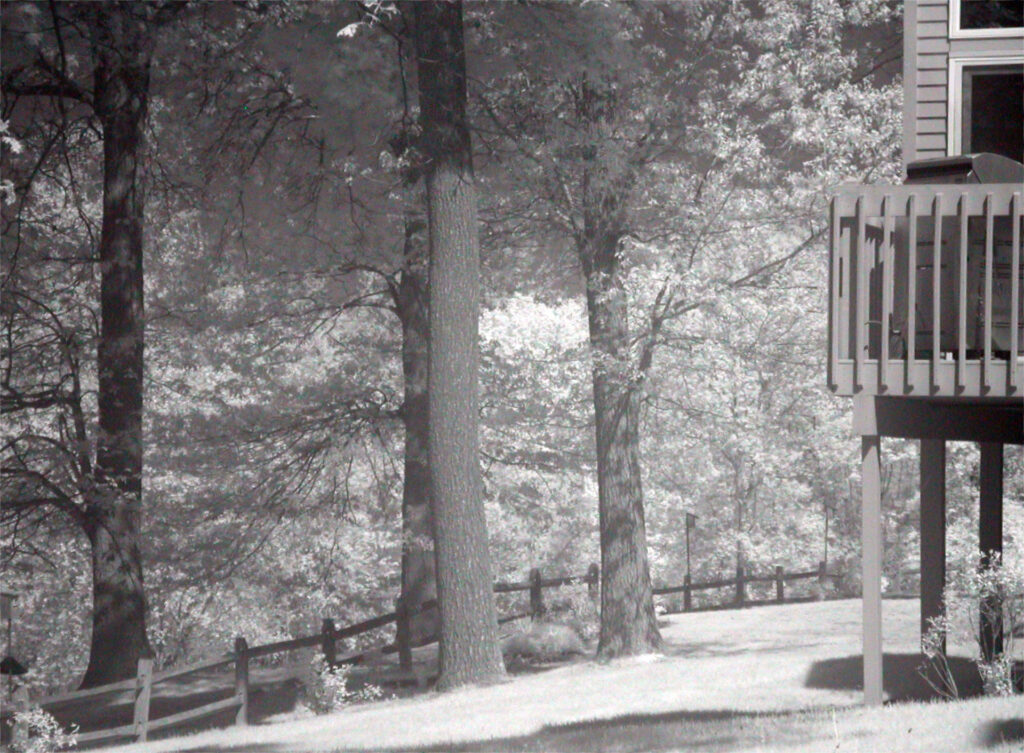 IR photo 05