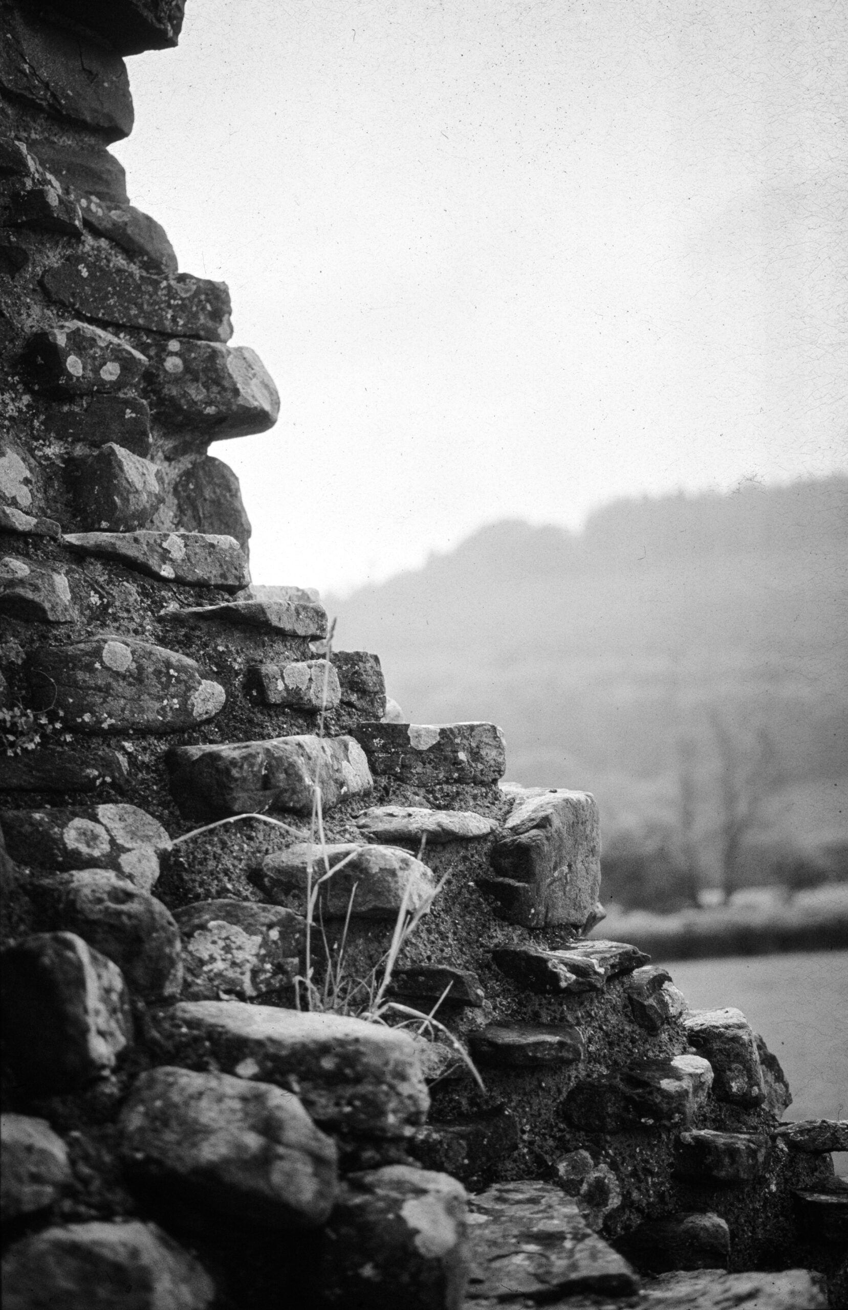 AGFA SCALA 200x 120フィルム 3本入り 新品未開封 Agfa Scala 200X - Bittersweet Memories made with my last and