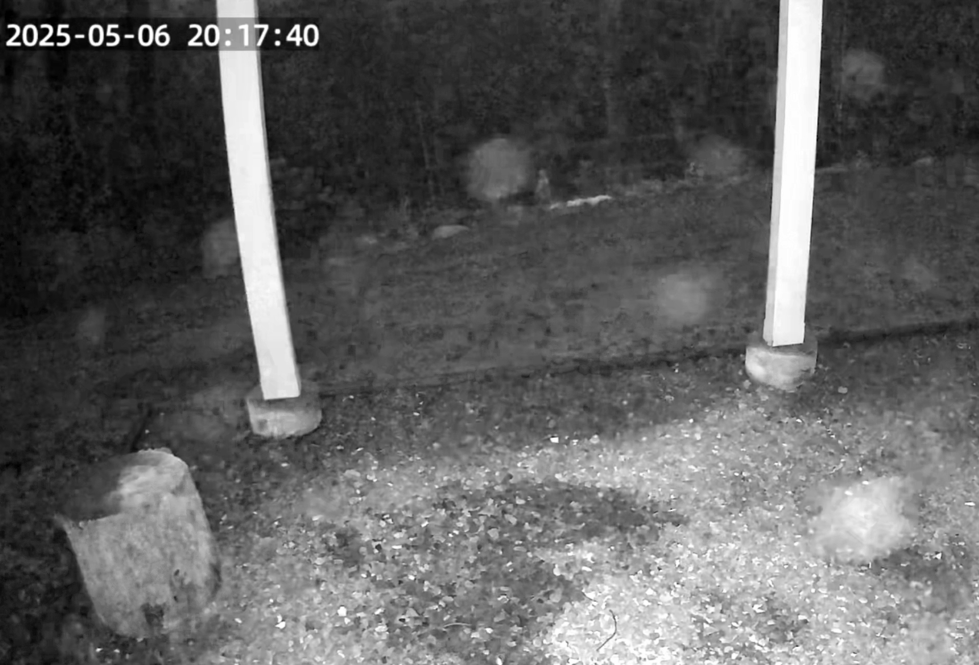 Infrared Non-ghost "orbs"