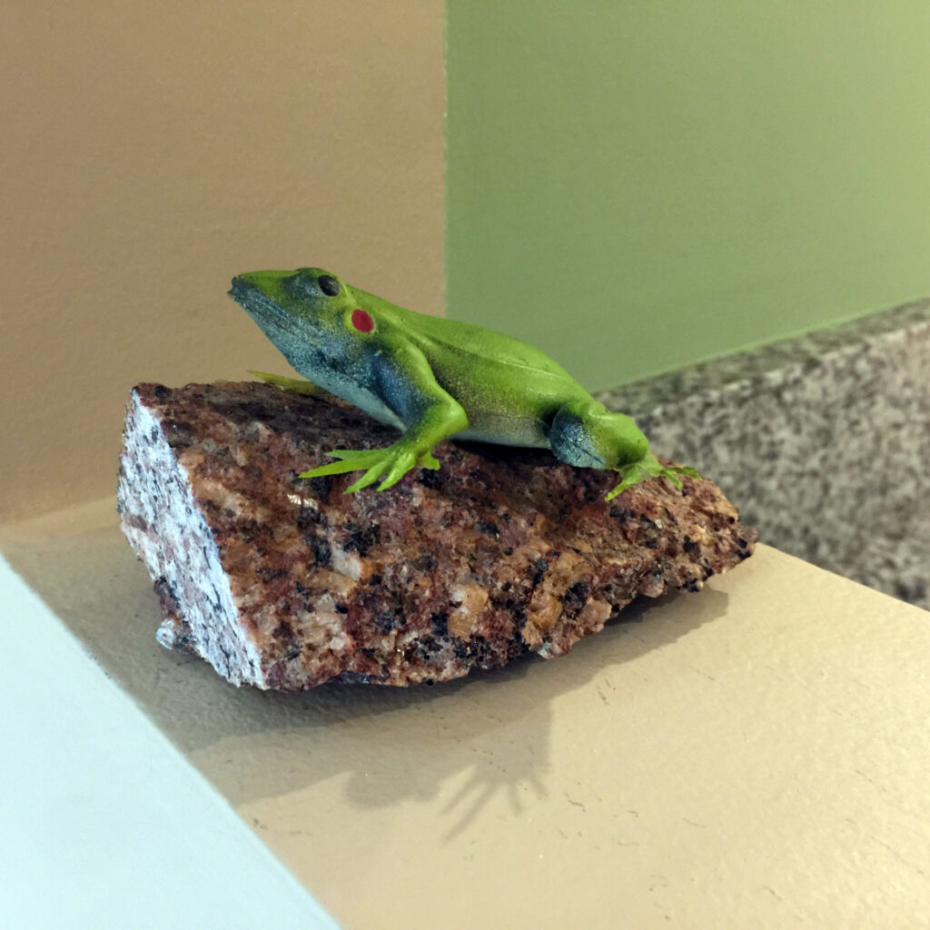 A green rubber frog on a granite rock
