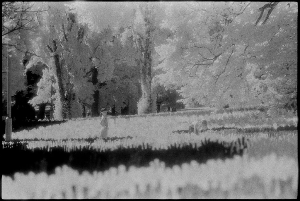 Black and white infrared photograph of an art installation in a park on a sunny day. Two children walk amongst many hundred cardboard hands.