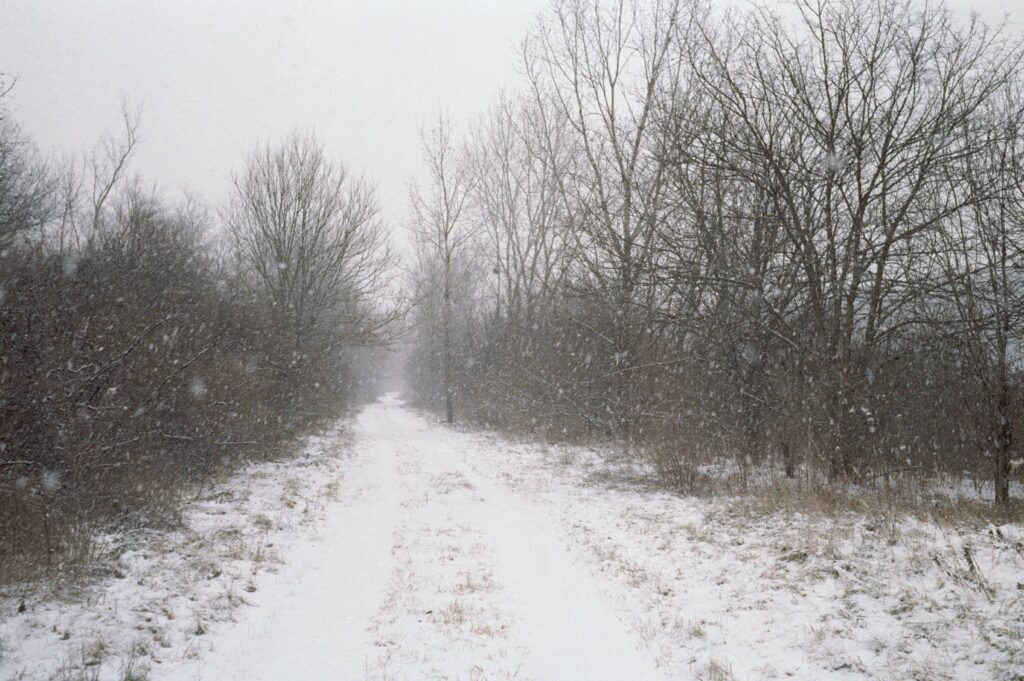 First snow 2024
