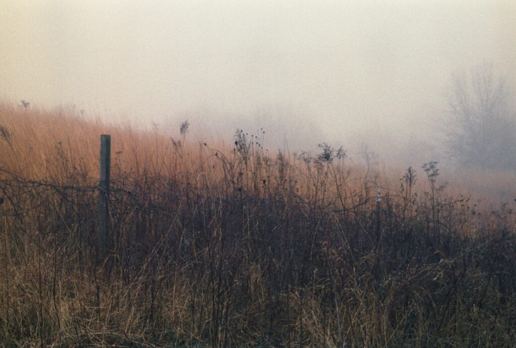 Fujicolor Superia 400 Prairie Moraine Dog Park