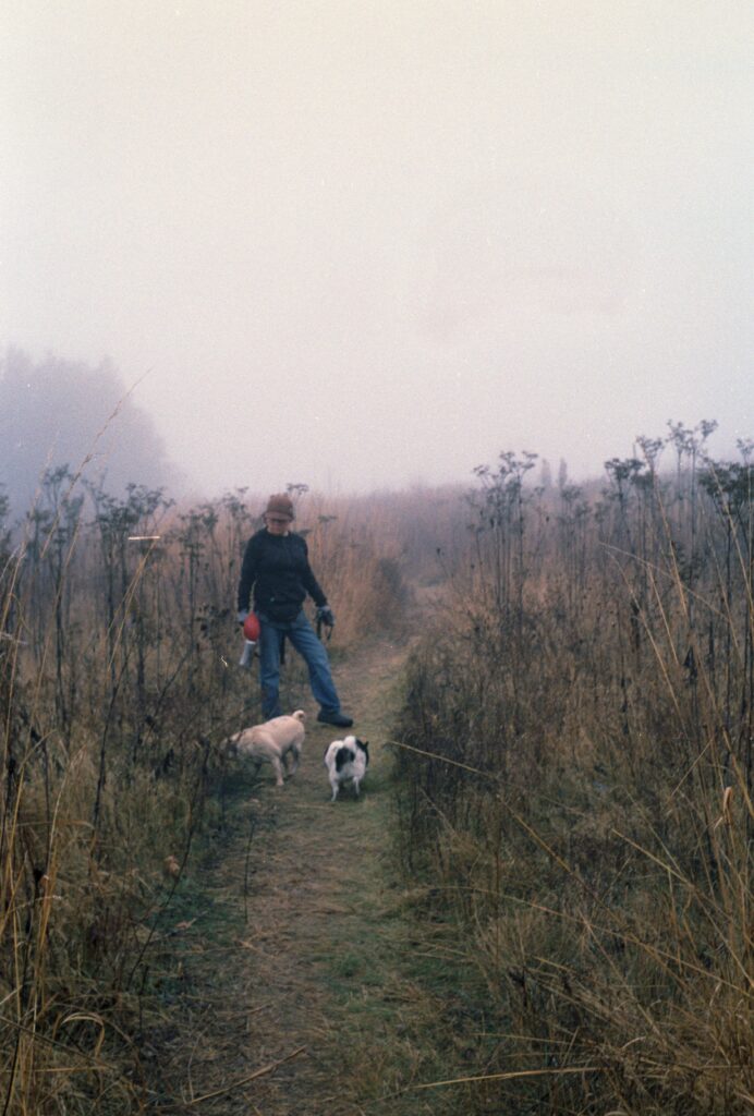 Prairie Moraine Dog Park