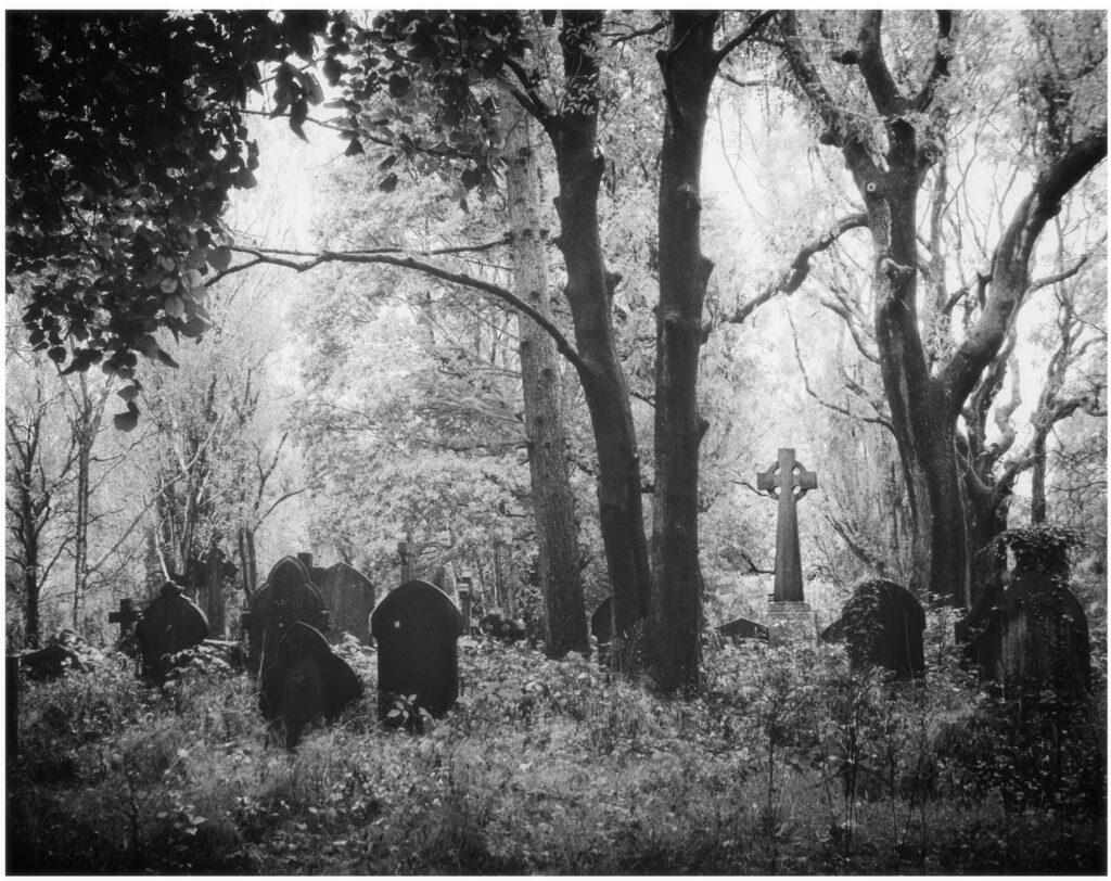 My favourite I will return to shoot with my infrared camera
