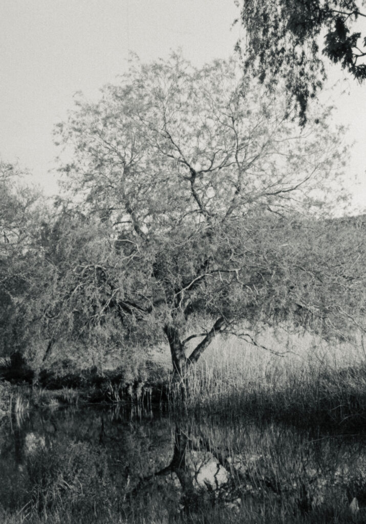 The film format may be small but with a camera with a decent lens and fine grain film the results can be impressive