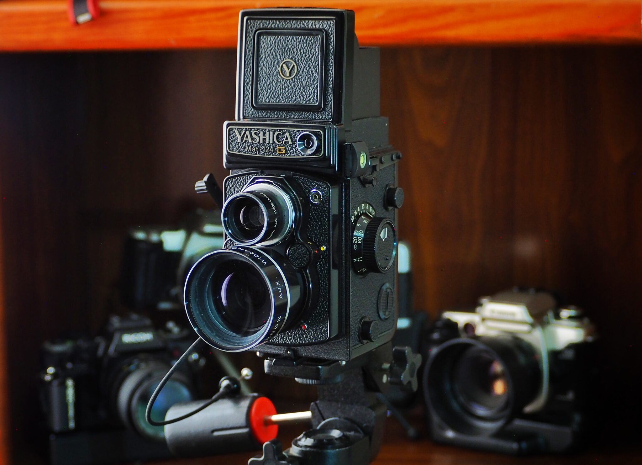 FUJI GW690 Ⅲ 6×9Professional Vintage Camera Review: Fujifilm GW690 III (6x9 Medium Format)