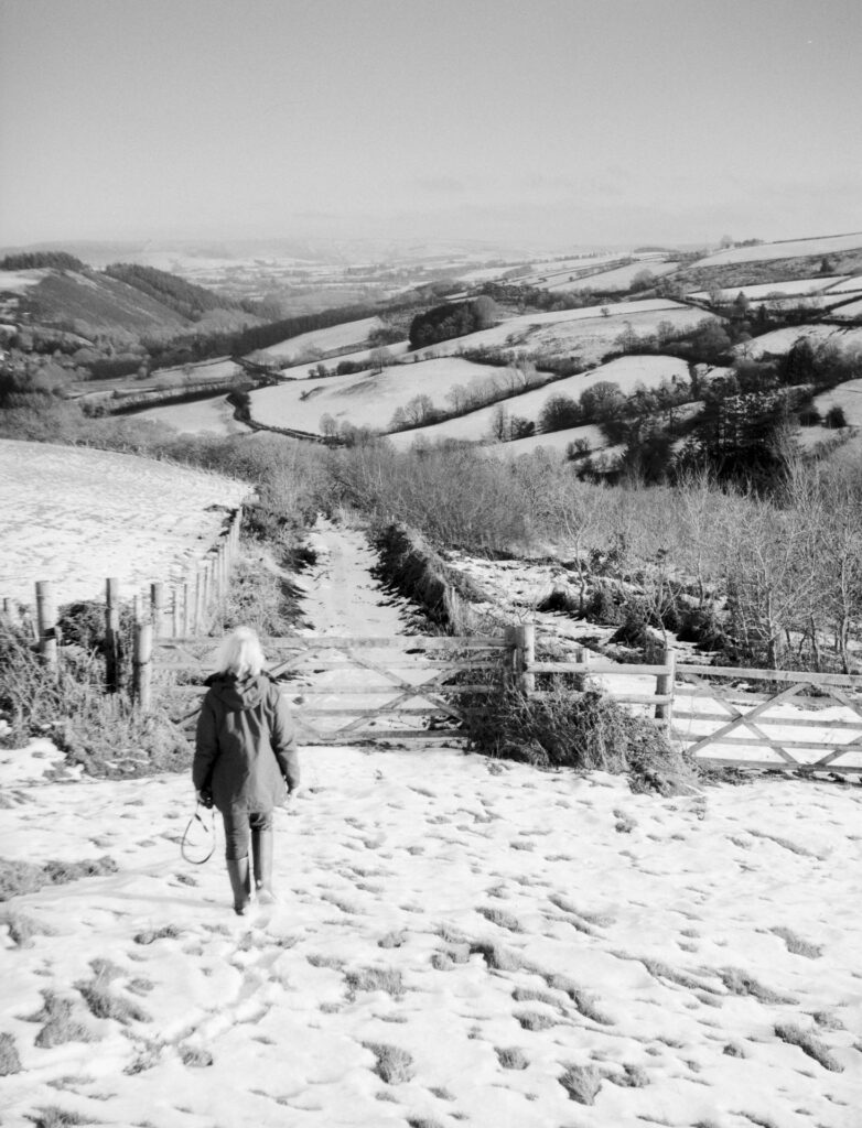 B&W photo of a snow scene