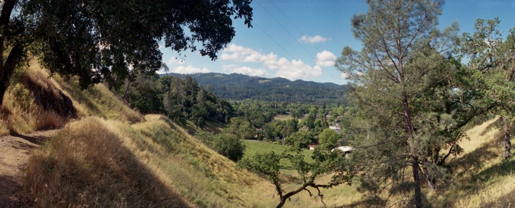Napa hiking view