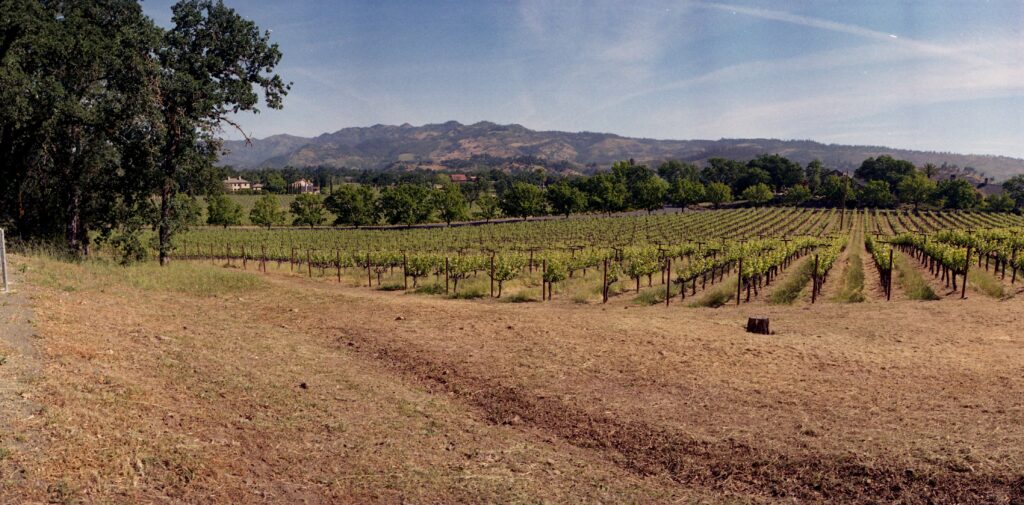 Napa Valley winery