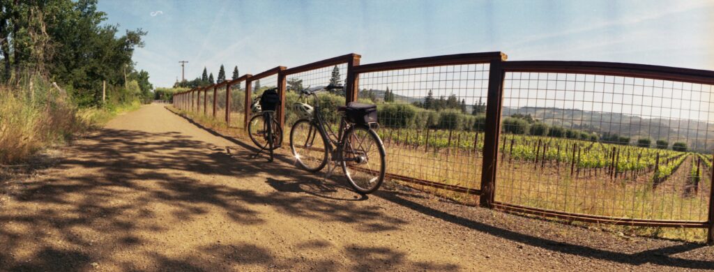 Napa Valley bike ride