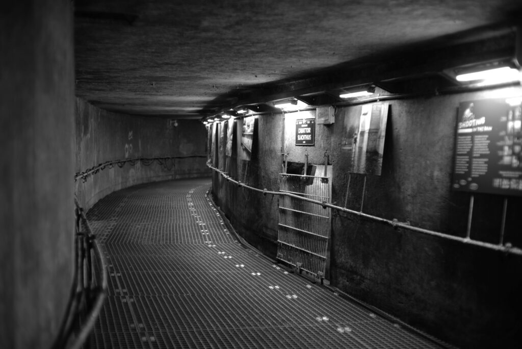 Brussels sewers, Sonnar f1.5