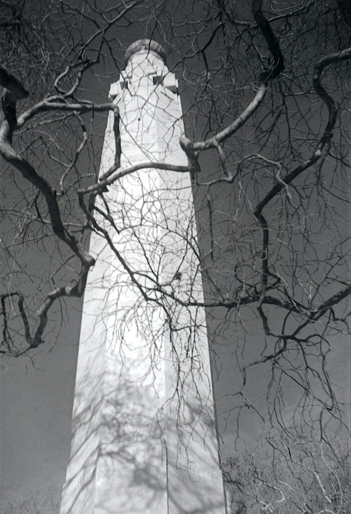 Dunedin’s Cenotaph through winter branches. The finders are pretty vague and both seem to be slightly low/right off target. I carefully centered the column in this shot.