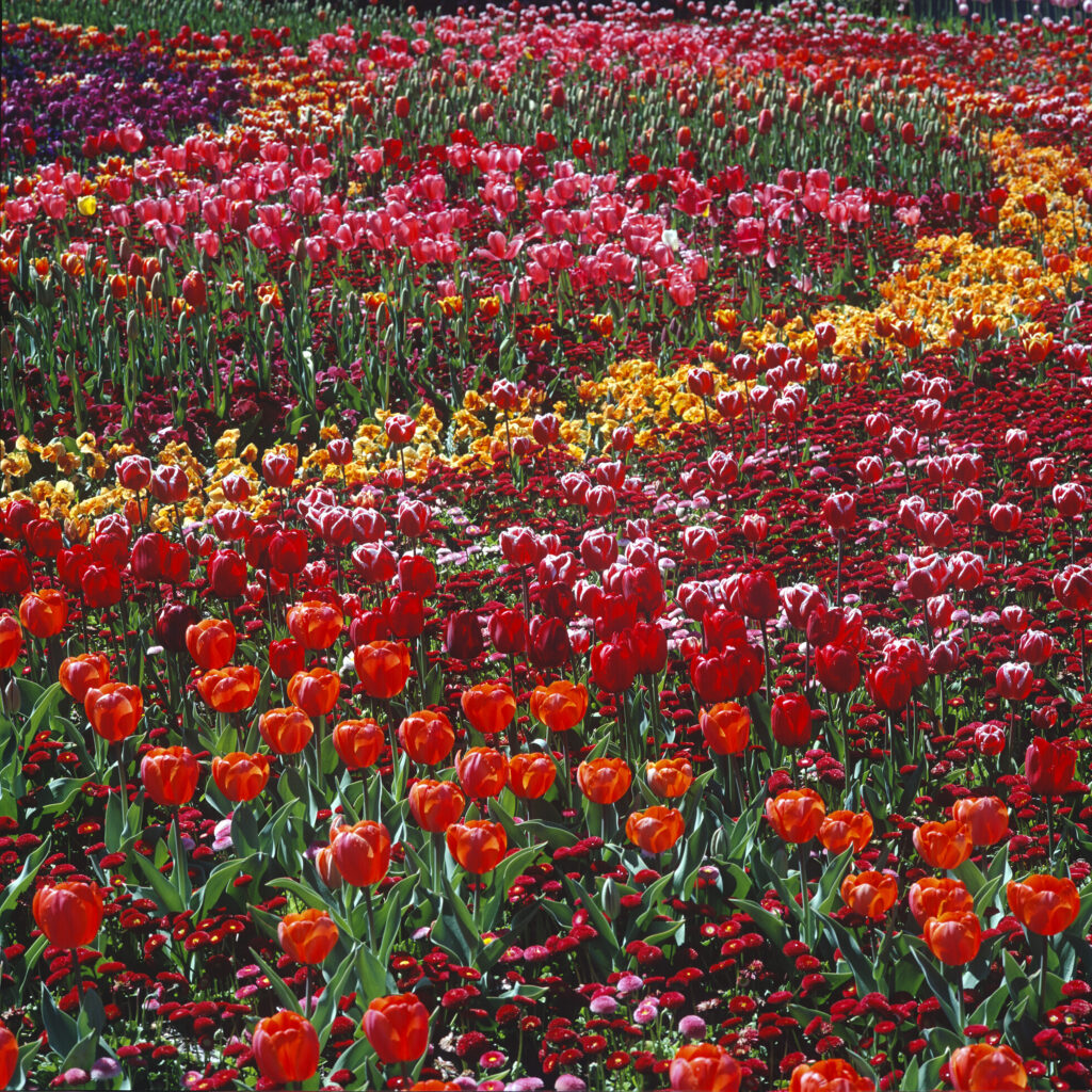 Floriade 1 (M6)