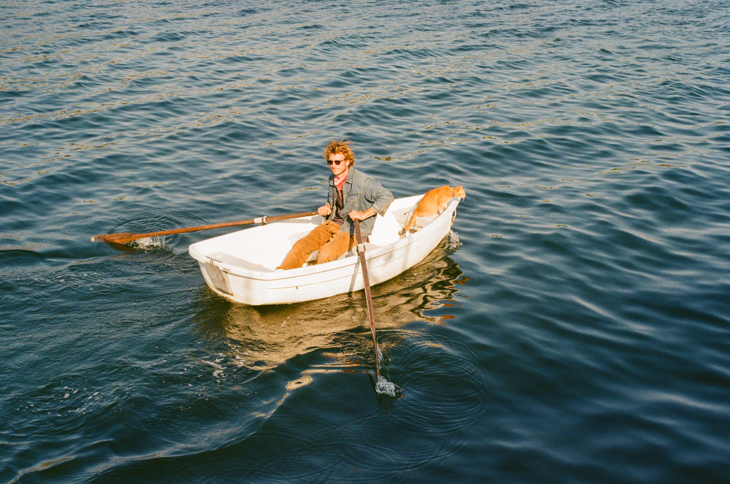 Man in rowboat with cat