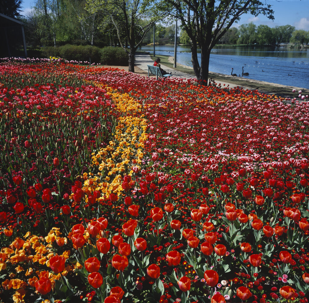 Floriade 10 (M6)