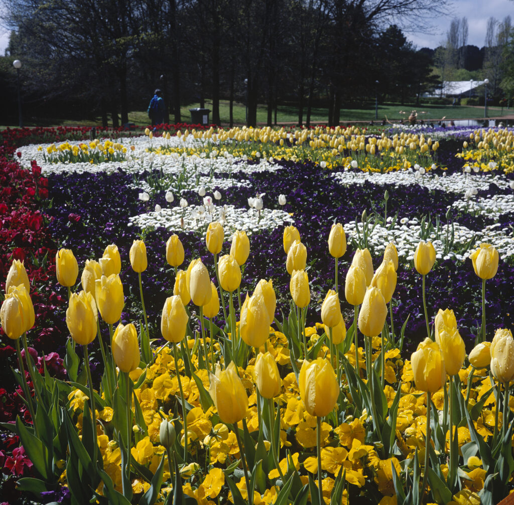 Floriade 2 (M6)
