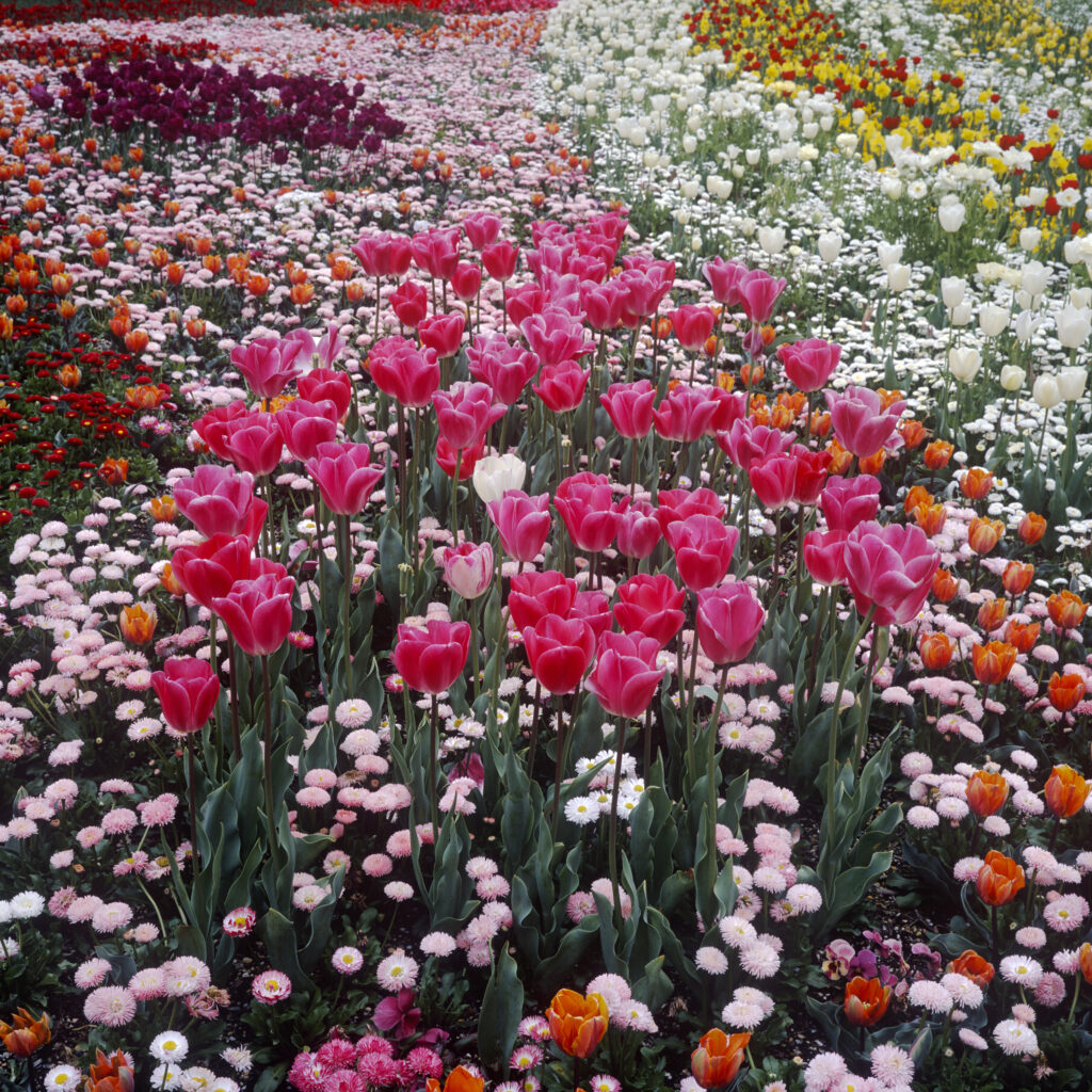 Floriade 4 (M6)