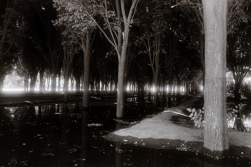 Canon A1 | Black & White Negative film | Agfa Isopan