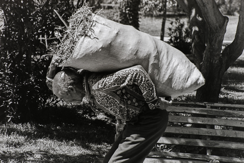 Canon A1 | Black & White Negative film | Agfa Isopan