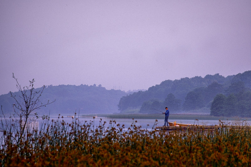Nikon FE2 | Colour reversal film | Fujichrome Velvia 50